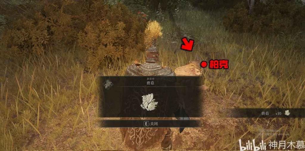 艾爾登法環 (Elden Ring) 柏克支線任務方法