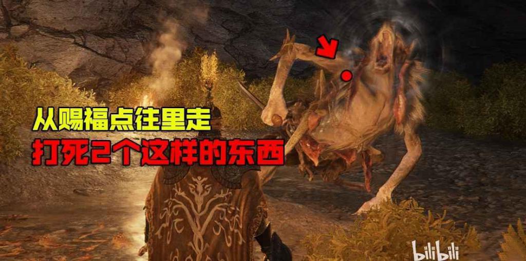 艾爾登法環 (Elden Ring) 柏克支線任務方法