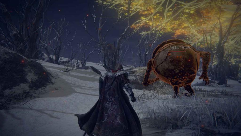 艾爾登法環 (Elden Ring) 壺戰士亞歷山大支線簡要攻略