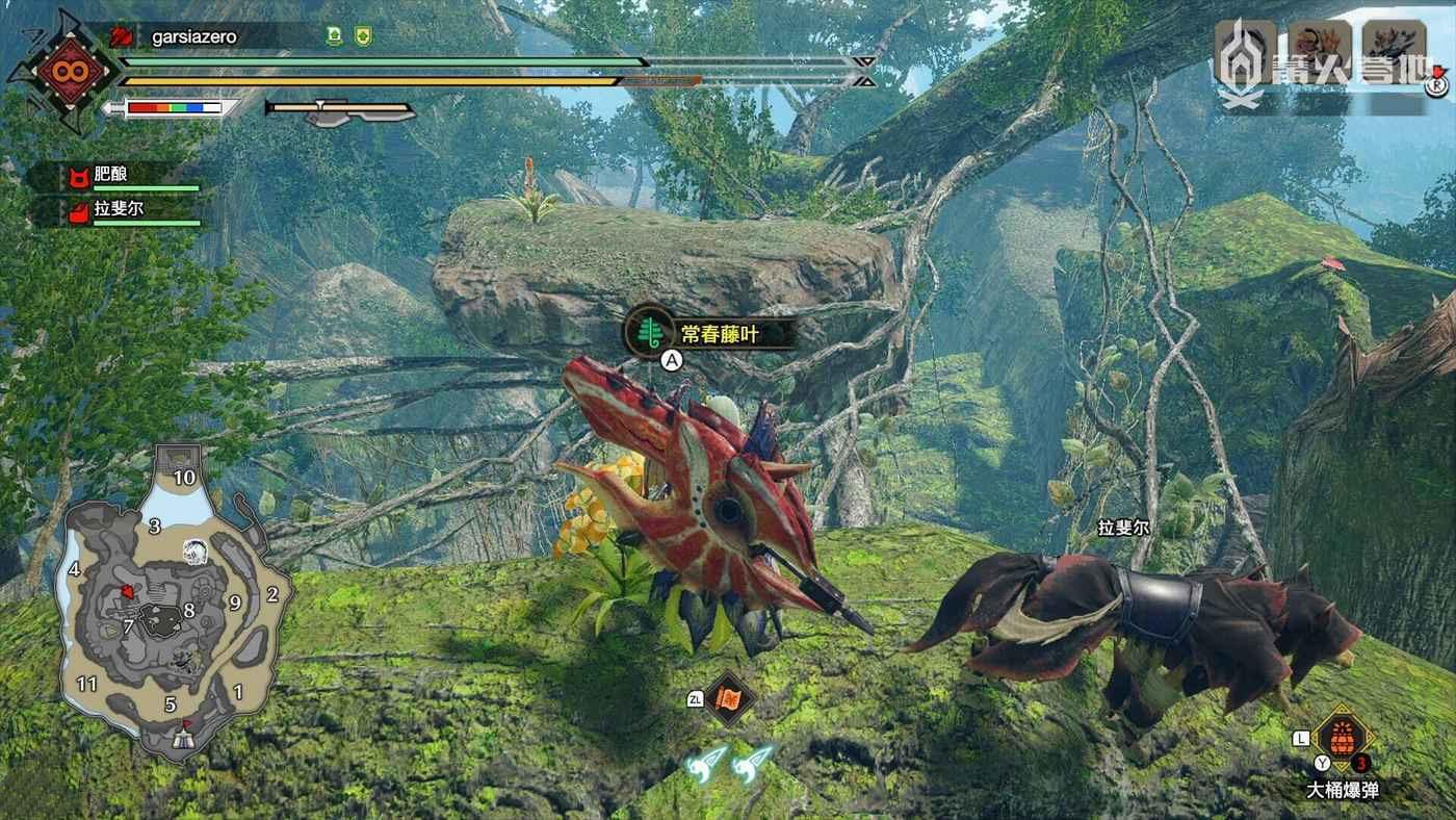 魔物獵人 崛起 破曉 (Monster Hunter Rise Sunbreak) 密林地圖手記簿全位置攻略