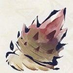 魔物獵人 崛起 破曉 (Monster Hunter Rise Sunbreak) DLC新增環境生物與效果分享 圖4