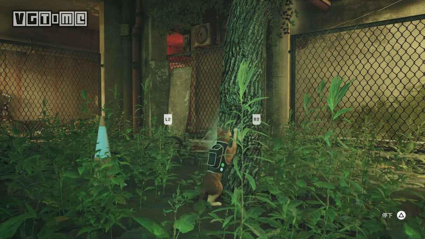 浪貓 (Stray) 獎盃喵的地盤攻略